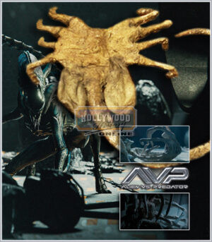 Mummified Facehugger Puppet