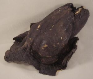 Jeepers Creepers 2<br><br>Burnt Stub