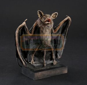 Bats<br><br> Bats Puppet