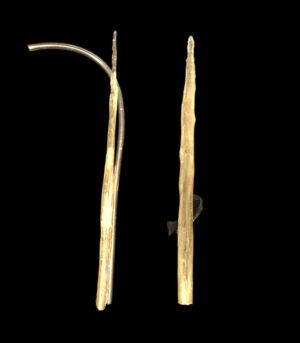 "A.C." Raisin Puppet