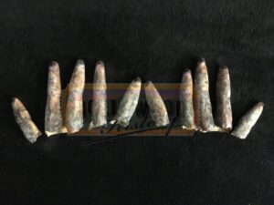 Sinister 2<br><br>Boogeyman's Fingers