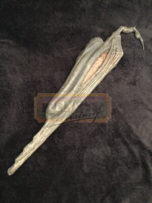 Jeepers Creepers 2 <br><br>Creeper's Folded Wing