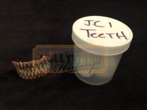 Jeepers Creepers <br><br>Creeper Teeth