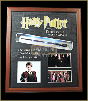 Harry Potter's Wand