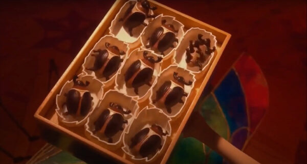 Beetles3