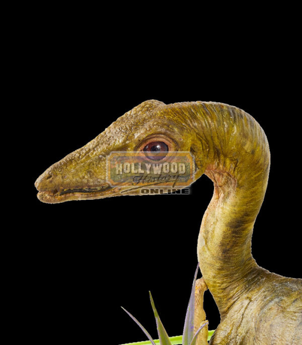 Compy Dinosaur Jurassic Park The Lost World2 Compy Dinosaur Jurassic Park The Lost World2
