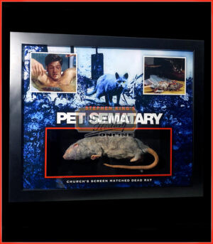 Church the Cat's Rat