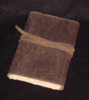 In The Name of the King<br><br>Solana Hero Notebook Diary